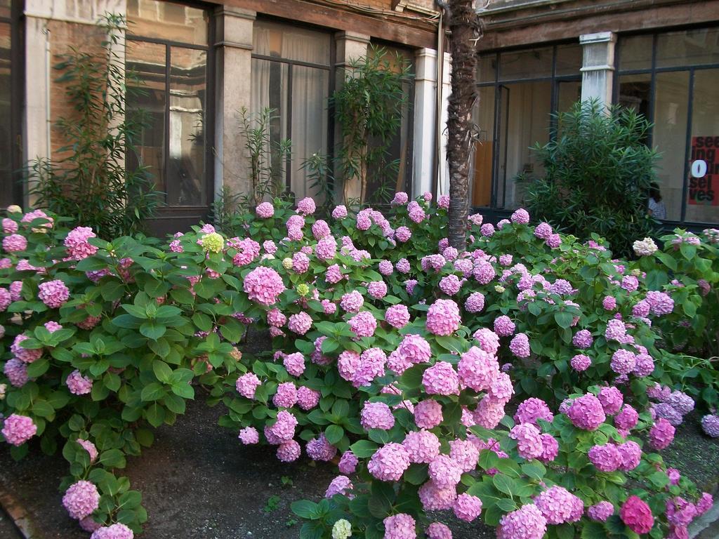 Bed & - Casa Per Ferie La Pieta Bed and breakfast Venecia